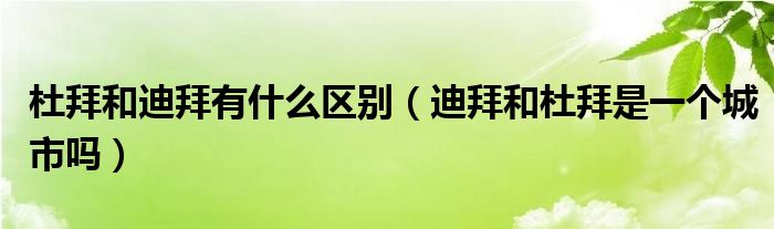 杜拜和迪拜有什么区别（迪拜和杜拜是一个城市吗）