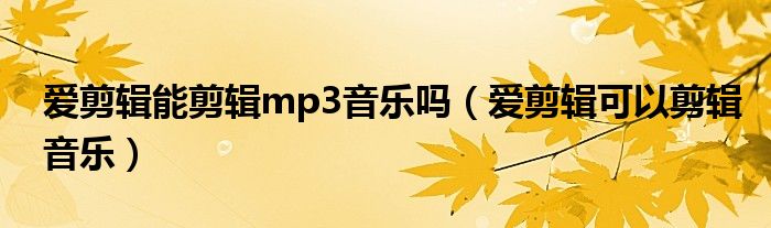 爱剪辑能剪辑mp3音乐吗（爱剪辑可以剪辑音乐）