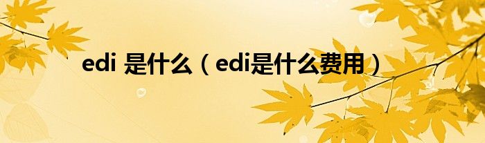 edi 是什么（edi是什么费用）