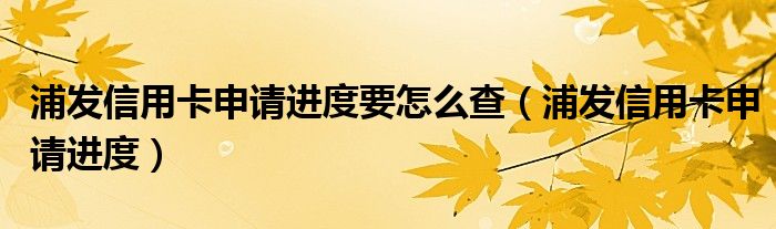 浦发信用卡申请进度要怎么查（浦发信用卡申请进度）