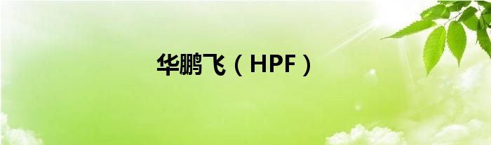 华鹏飞（HPF）