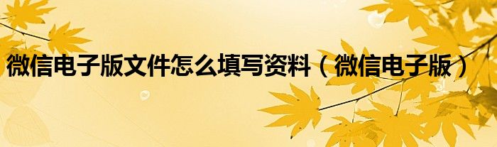 微信电子版文件怎么填写资料（微信电子版）