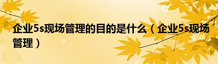 企业5s现场管理的目的是什么（企业5s现场管理）