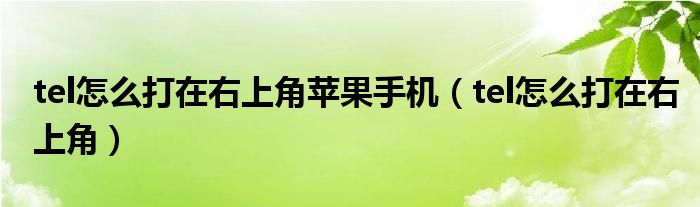 tel怎么打在右上角苹果手机（tel怎么打在右上角）