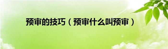 预审的技巧（预审什么叫预审）