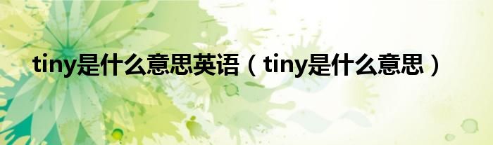 tiny是什么意思英语（tiny是什么意思）