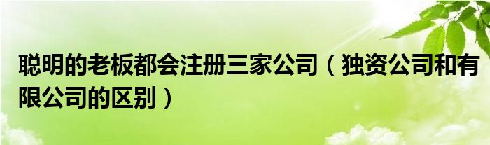 聪明的老板都会注册三家公司（独资公司和有限公司的区别）