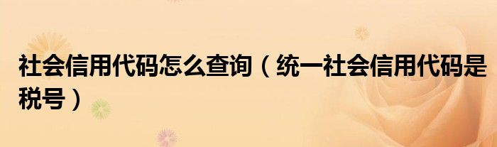 社会信用代码怎么查询（统一社会信用代码是税号）