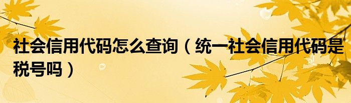 社会信用代码怎么查询（统一社会信用代码是税号吗）