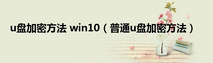 u盘加密方法 win10（普通u盘加密方法）