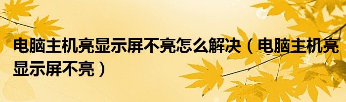 电脑主机亮显示屏不亮怎么解决（电脑主机亮显示屏不亮）