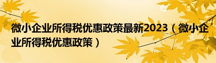 微小企业所得税优惠政策最新2023（微小企业所得税优惠政策）