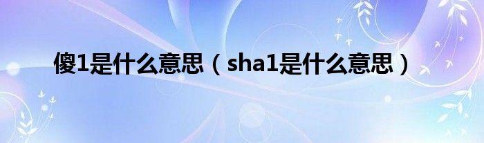 傻1是什么意思（sha1是什么意思）