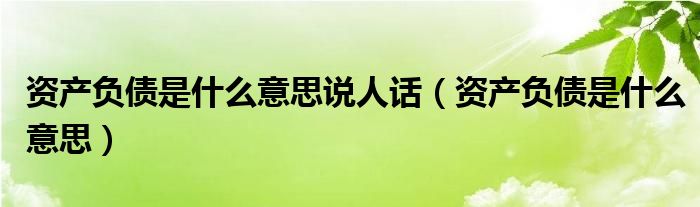 资产负债是什么意思说人话（资产负债是什么意思）