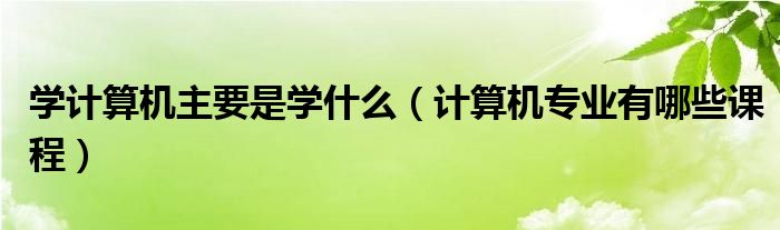 学计算机主要是学什么（计算机专业有哪些课程）