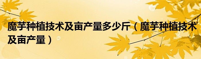 魔芋种植技术及亩产量多少斤（魔芋种植技术及亩产量）