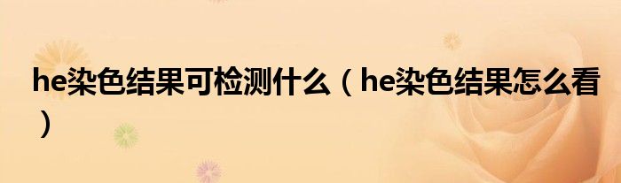 he染色结果可检测什么（he染色结果怎么看）