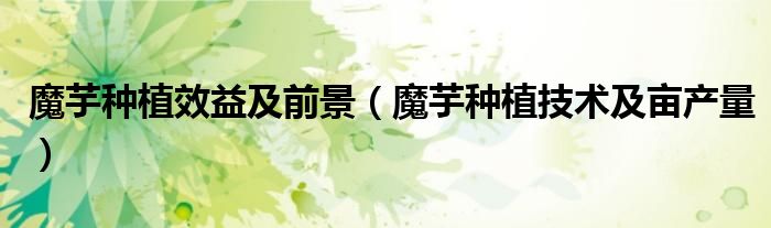 魔芋种植效益及前景（魔芋种植技术及亩产量）