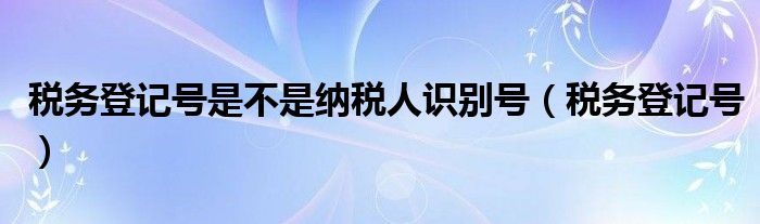 税务登记号是不是纳税人识别号（税务登记号）