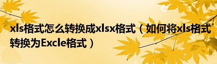 xls格式怎么转换成xlsx格式（如何将xls格式转换为Excle格式）