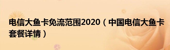 电信大鱼卡免流范围2020（中国电信大鱼卡套餐详情）