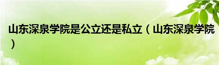 山东深泉学院是公立还是私立（山东深泉学院）