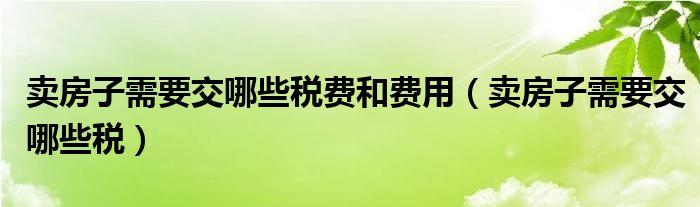 卖房子需要交哪些税费和费用（卖房子需要交哪些税）