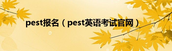 pest报名（pest英语考试官网）