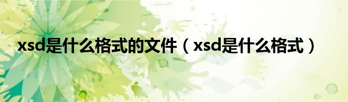 xsd是什么格式的文件（xsd是什么格式）