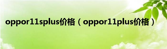 oppor11splus价格（oppor11plus价格）