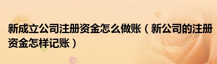 新成立公司注册资金怎么做账（新公司的注册资金怎样记账）