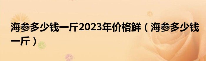 海参多少钱一斤2023年价格鲜（海参多少钱一斤）