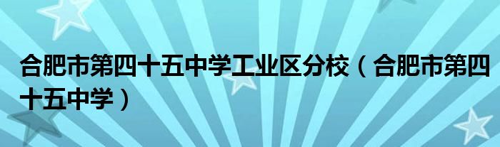 合肥市第四十五中学工业区分校（合肥市第四十五中学）