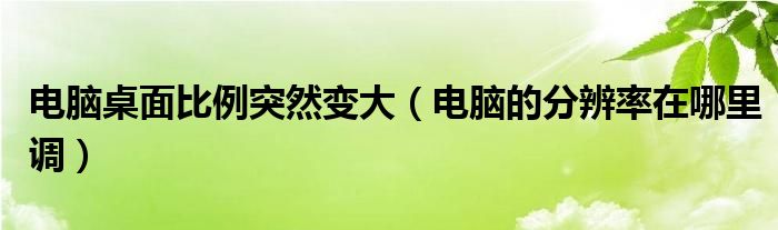 电脑桌面比例突然变大（电脑的分辨率在哪里调）