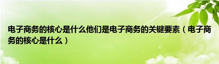 电子商务的核心是什么他们是电子商务的关键要素（电子商务的核心是什么）