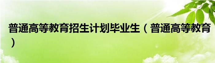 普通高等教育招生计划毕业生（普通高等教育）