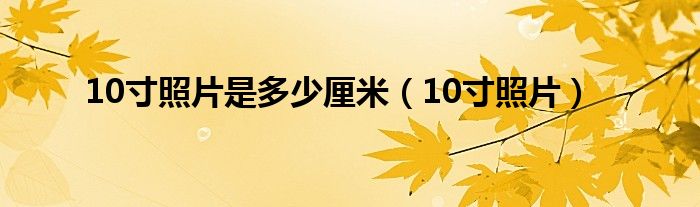 10寸照片是多少厘米（10寸照片）