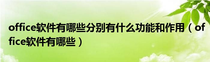 office软件有哪些分别有什么功能和作用（office软件有哪些）