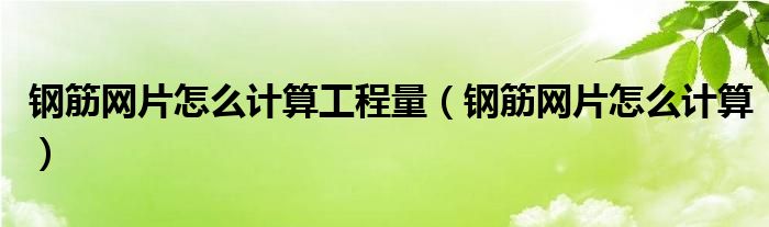 钢筋网片怎么计算工程量（钢筋网片怎么计算）