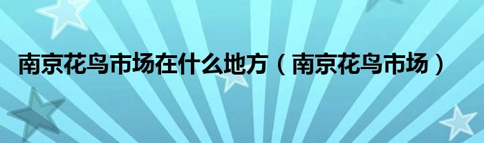 南京花鸟市场在什么地方（南京花鸟市场）