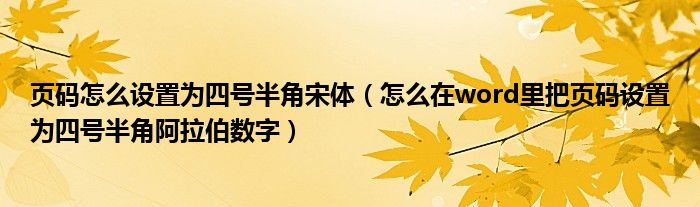 页码怎么设置为四号半角宋体（怎么在word里把页码设置为四号半角阿拉伯数字）