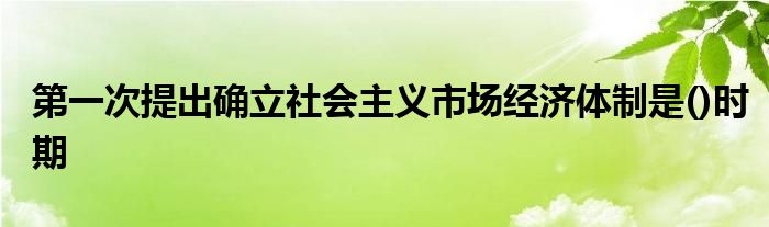 第一次提出确立社会主义市场经济体制是()时期