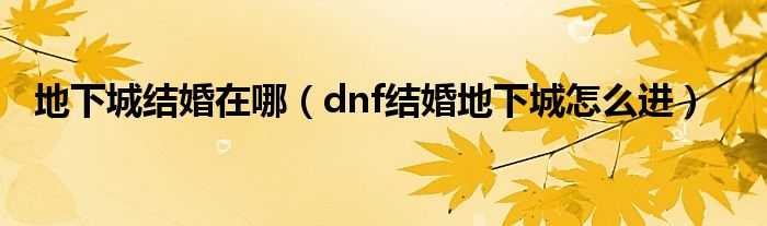 地下城结婚在哪（dnf结婚地下城怎么进）