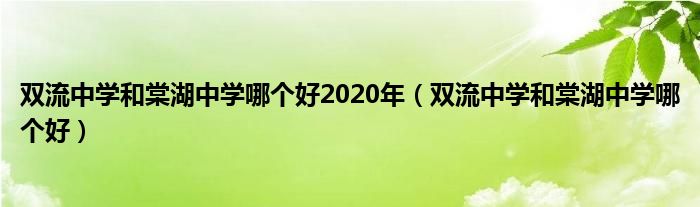 双流中学和棠湖中学哪个好2020年（双流中学和棠湖中学哪个好）