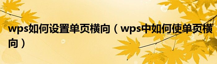 wps如何设置单页横向（wps中如何使单页横向）