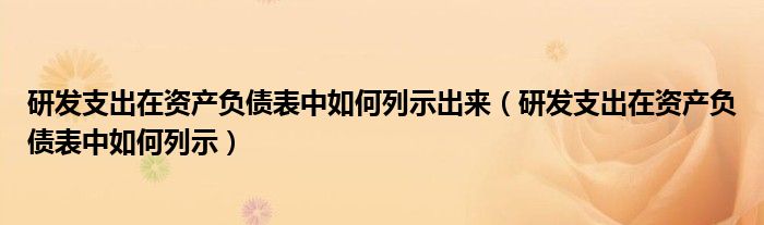 研发支出在资产负债表中如何列示出来（研发支出在资产负债表中如何列示）