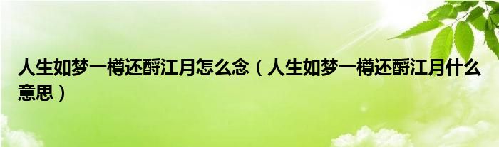 人生如梦一樽还酹江月怎么念（人生如梦一樽还酹江月什么意思）