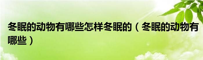 冬眠的动物有哪些怎样冬眠的（冬眠的动物有哪些）