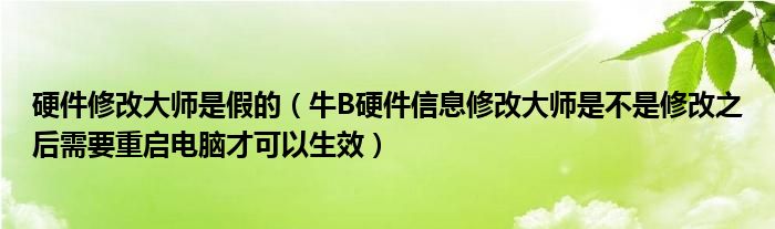 硬件修改大师是假的（牛B硬件信息修改大师是不是修改之后需要重启电脑才可以生效）