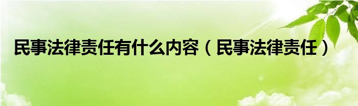 民事法律责任有什么内容（民事法律责任）